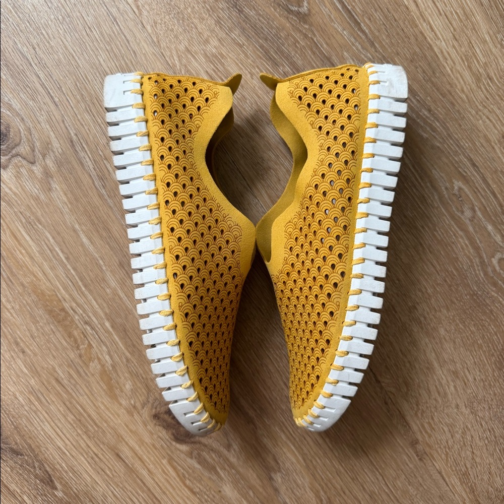 Ilse Jacobsen shoes
